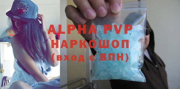 гидра Михайловка