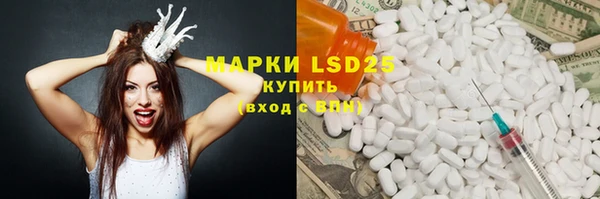 гидра Михайловка