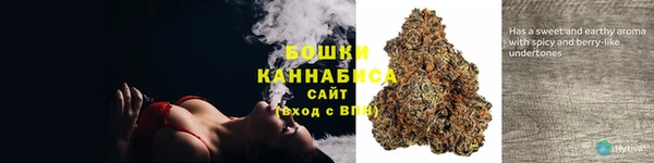 гидра Михайловка