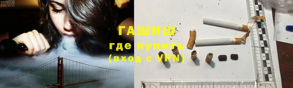 гидра Михайловка