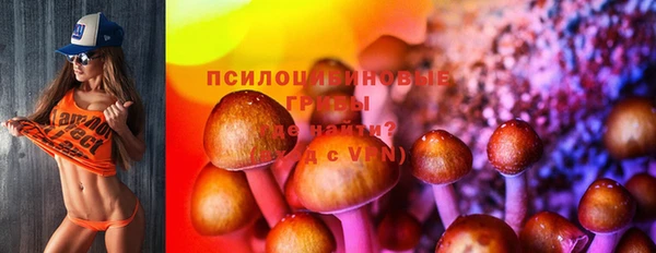 гидра Михайловка